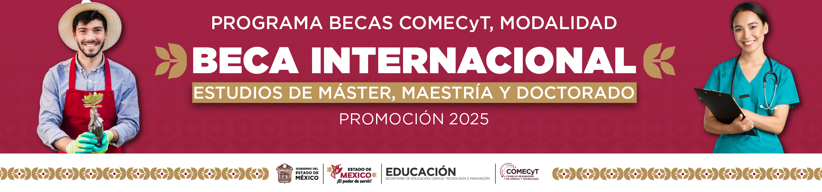 Becas COEMCYT, Modalidad Beca Internacional