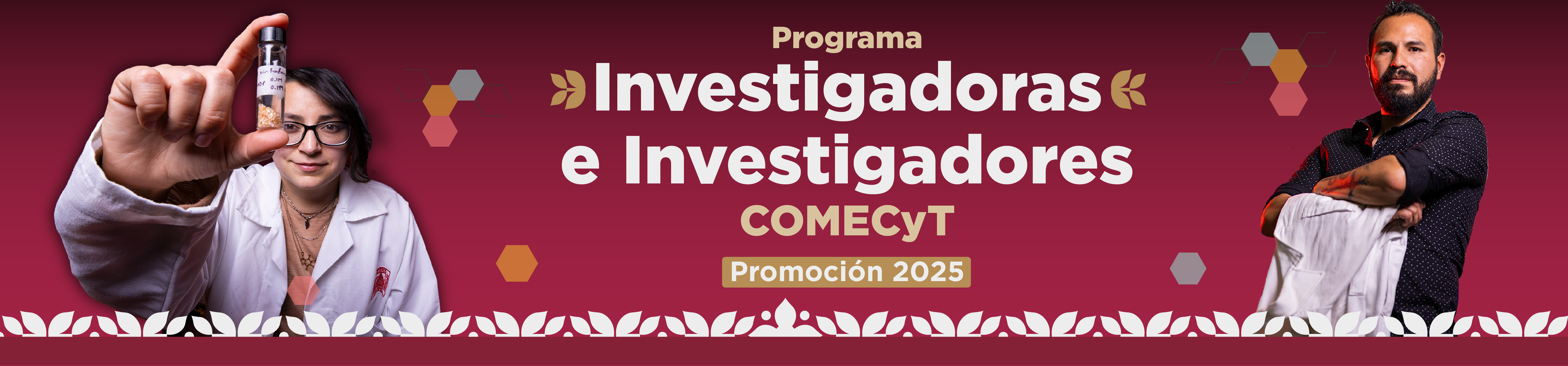 Convocatoria 2025 del Programa Investigadoras e Investigadores COMECYT
