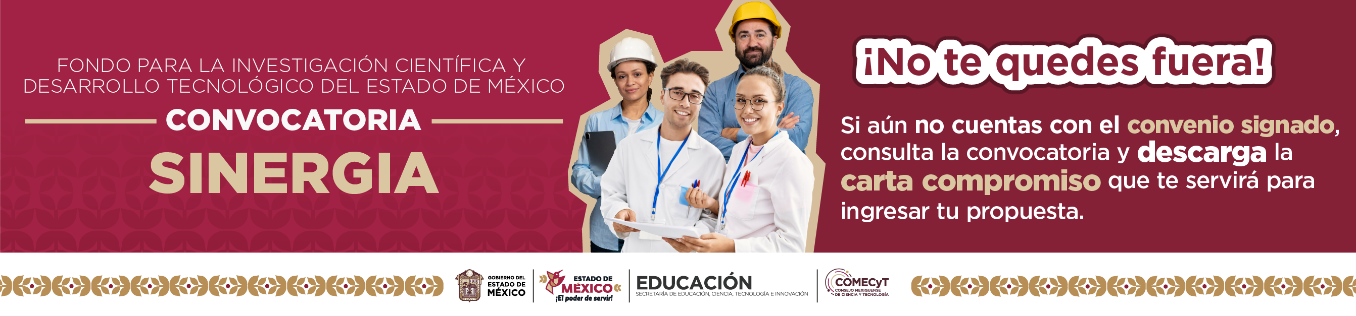 Sinergia para la Incidencia