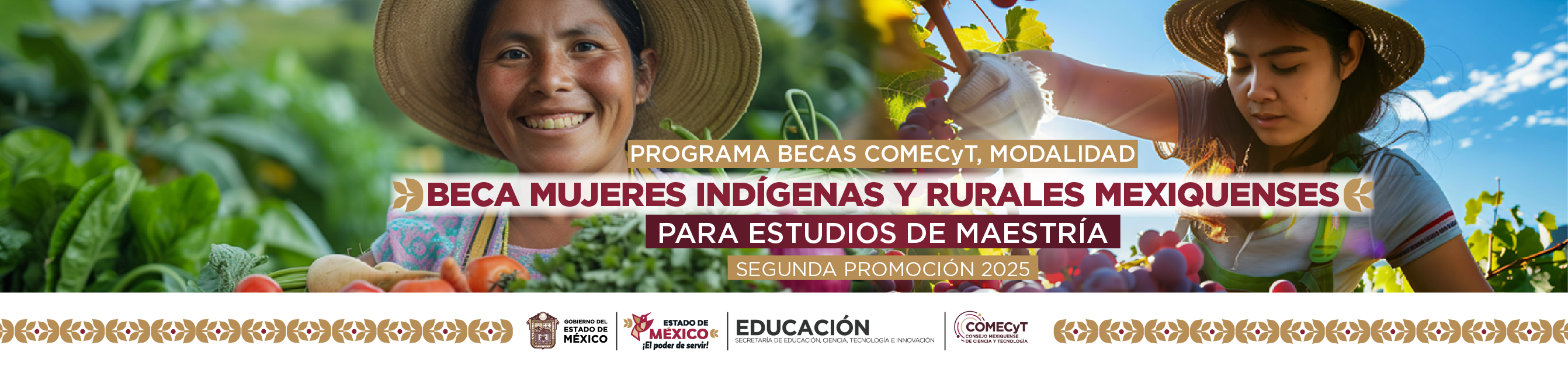 Programa Becas COMECYT, Modalidad Beca Mujeres Indígenas y Rurales Mexiquenses
