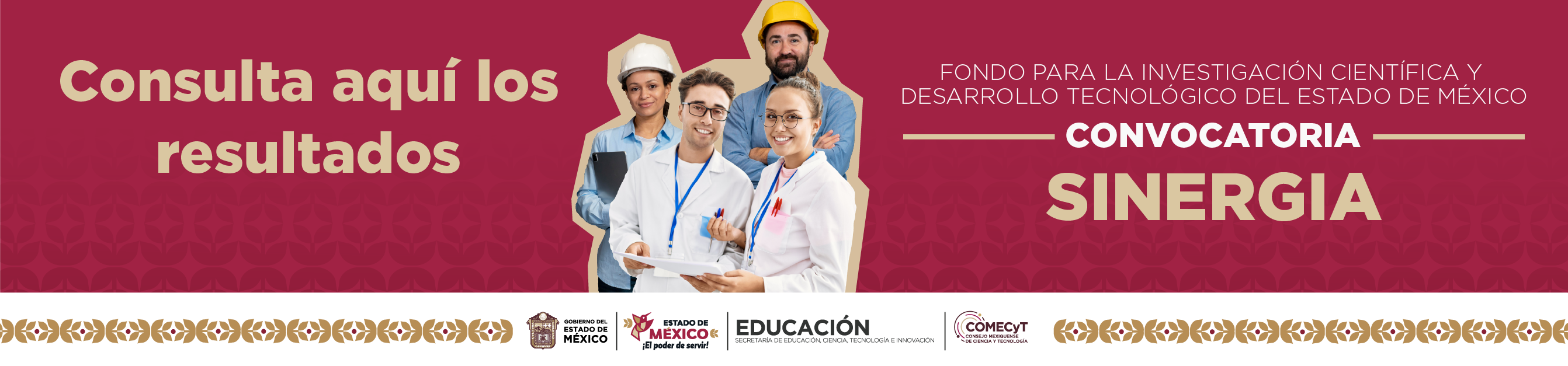 Sinergia para la Incidencia