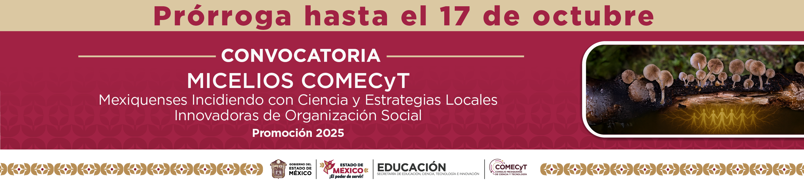 Programa Mexiquenses Incidiendo con Ciencia y Estrategias Locales Innovadoras de Organización Social, COMECYT