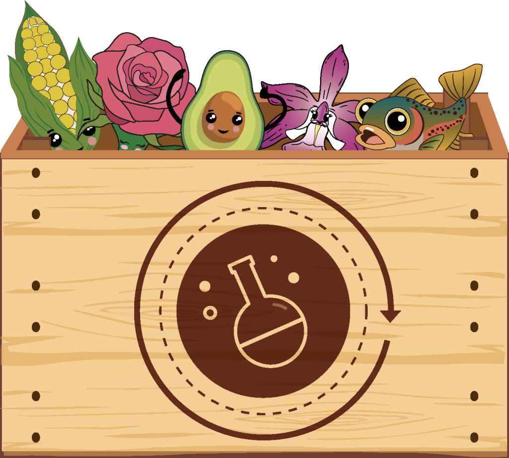 Elemento Ilustrativo Huacal
